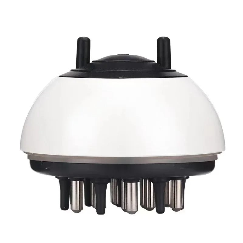 Hair Oil Applicator Scalp Massager Comb